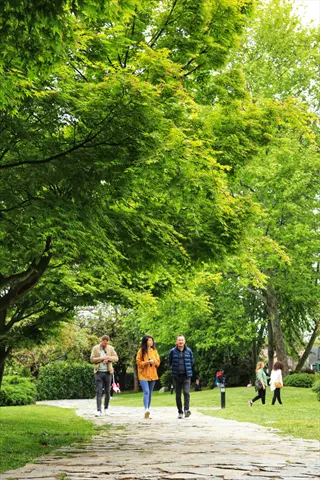 people walking on stone path through a lush green park with trees