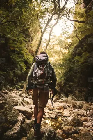 person hiking a rocky trail through a sunlit, lush green forest gorge with a backpack, viewed from behind