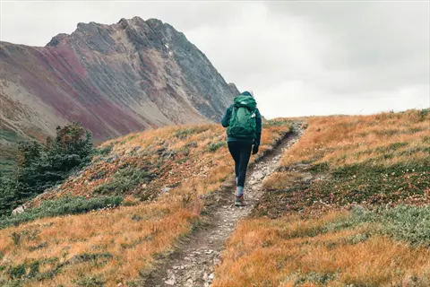 person hiking trail: solo hiker with green backpack ascending rocky path through golden grasslands, large mountain with autumn hues under overcast sky