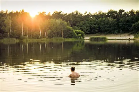 person swimming in a serene lake at sunset with forested shores and sun reflecting on rippling water