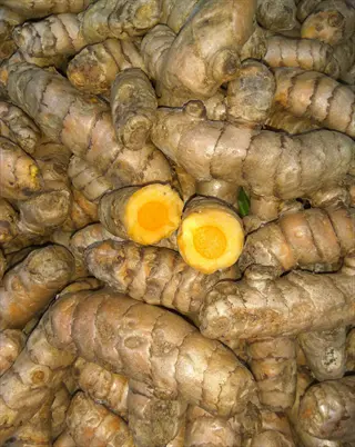 pile of fresh turmeric rhizomes with one cut open to show bright orange interior