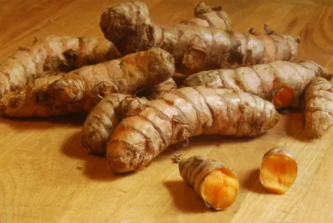pile of fresh turmeric roots with some cut open to show bright orange interior on a wooden surface