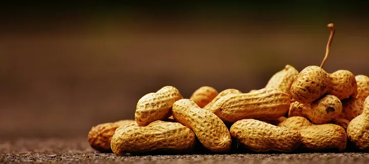 pile of raw peanuts in shells with textured beige pods and one stem on dark blurred background