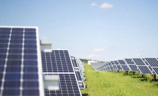rows of solar panels on green grass under clear blue sky at a renewable energy farm