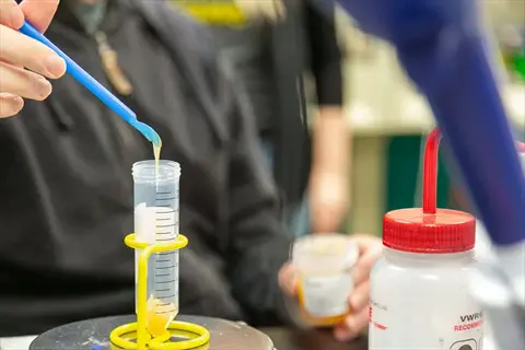 scientist testing honey: hand using blue spatula to transfer viscous substance into graduated cylinder in a lab, with vwr bottle and jar in background