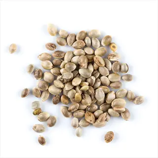 seeds containing tryptophan (amino acid also found in turkey) on white background