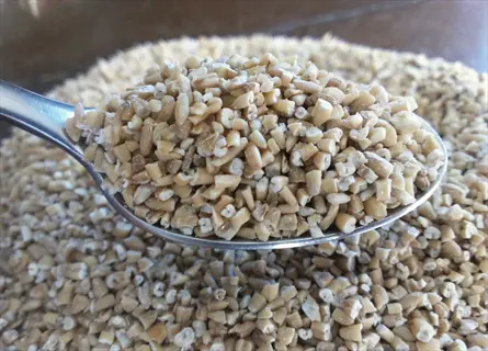 steel cut oats bowl ingredients: close-up of a spoonful with scattered oats in background