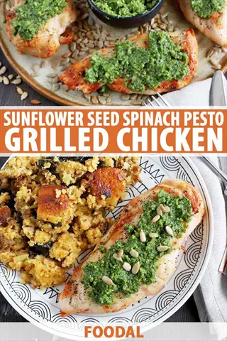 sunflower seed spinach pesto grilled chicken with cornbread stuffing - close-up plate and overhead platter view (foodal recipe)