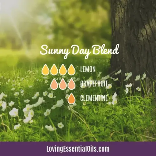 sunny day essential oil blend featuring lemon essential oil drops (4), grapefruit (3), and clementine (1) in a sunlit meadow with trees and wildflowers
