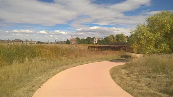 sunny day view of a winding running park trail through tall grasses with a wooden bridge and residential area in the distance