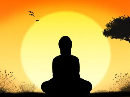 sunrise meditation: silhouette of a person in lotus position meditating calmly against a vibrant dawn sky with flying birds and a tree