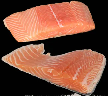 two fresh raw salmon fillets with visible ice crystals - rich source of omega-3 fatty acids