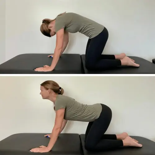 two-panel image of a woman performing cat-cow exercises to stimulate lymphatic system flow. exercise supports lymph movement; foods aid lymphatic health (not shown)