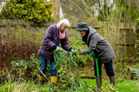 two people engaged in therapeutic gardening activity, planting and tending plants in a lush garden with gardening tools