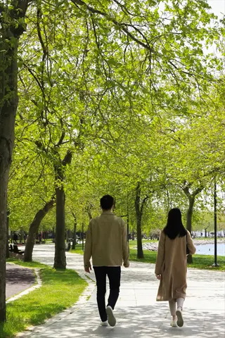 two people walking away on a sunlit park pathway lined with lush green trees