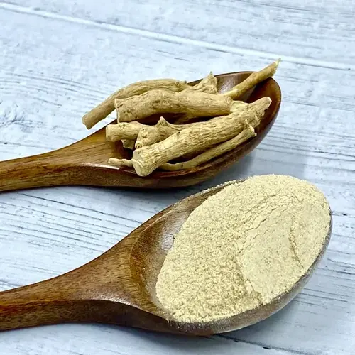 two wooden spoons with dried ashwagandha roots on top and ashwagandha root powder below, placed on a light wooden surface