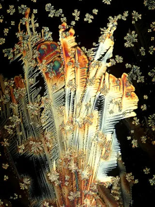 vitamin c crystals closeup: intricate feathery orange and white branched crystals with blue iridescence against black background