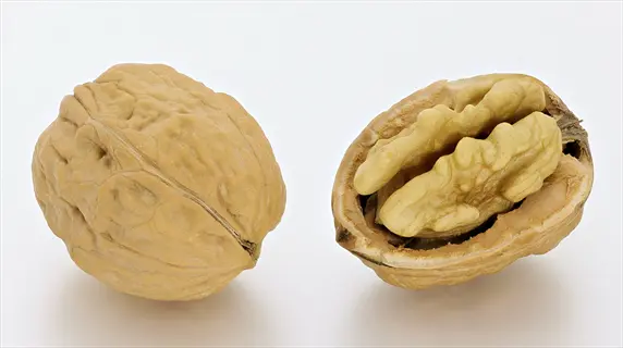 whole walnuts: one intact and one cracked open revealing light brown nutmeats, on a white background