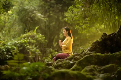 woman in prayer pose during forest meditation on mossy rocks, surrounded by sunlit lush green trees in a serene nature immersion setting