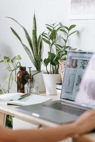 wooden desk with lush office plants arrangement (snake plant, zz plant, pothos), laptop showing botanical content, notebook, and decorative glassware in a bright workspace